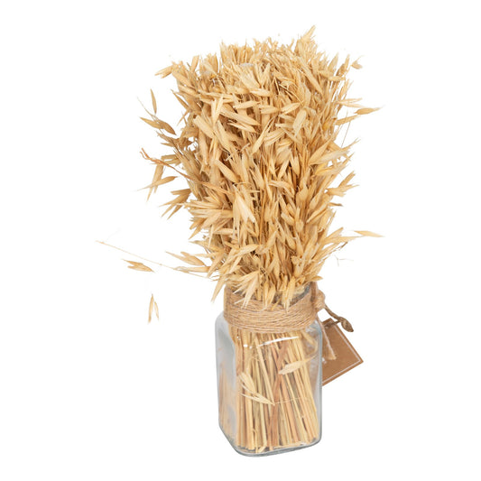 Dried Oat Bouquet in Glass Jar 25cm