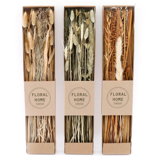 Set of 3 Dried Grasses in Display Box